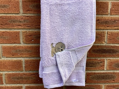 Labradoodle puppy novelty - puppy,