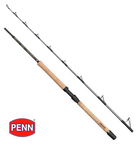 Penn regiment mk4 pro - mk4, boat