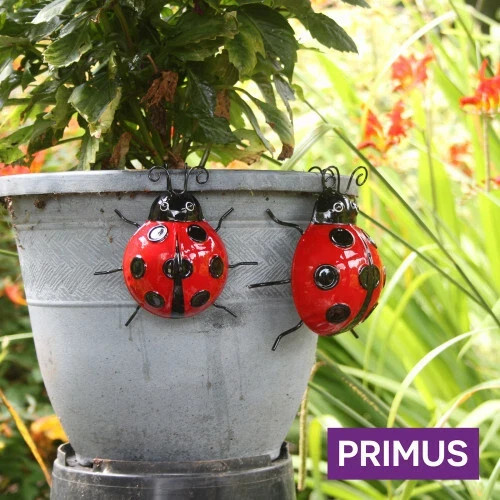 Primus large ladybird wall - large,