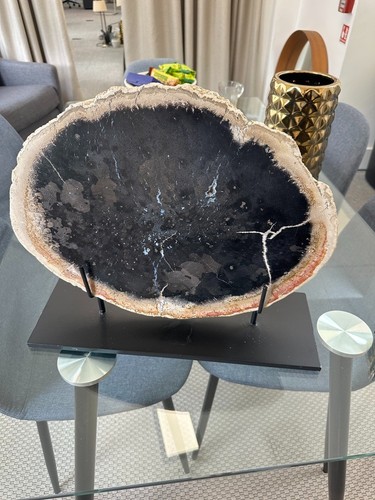Large 49cm petrified - 49cm,