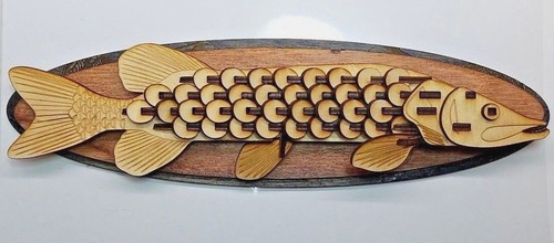 Fish trophy wall - fish,