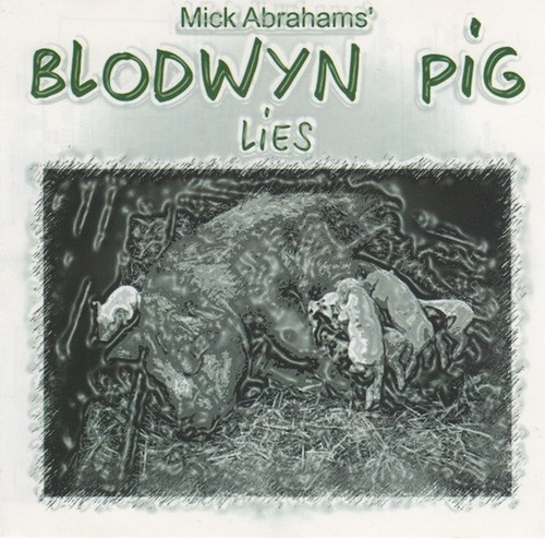 Mick abrahams blodwyn pig - abrahams',