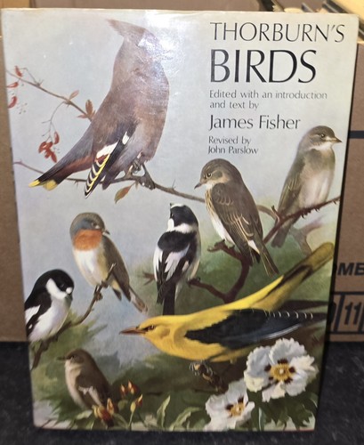 Thorburn birds james - birds,