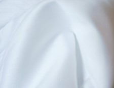 ~ Spechler Vogel  Satin