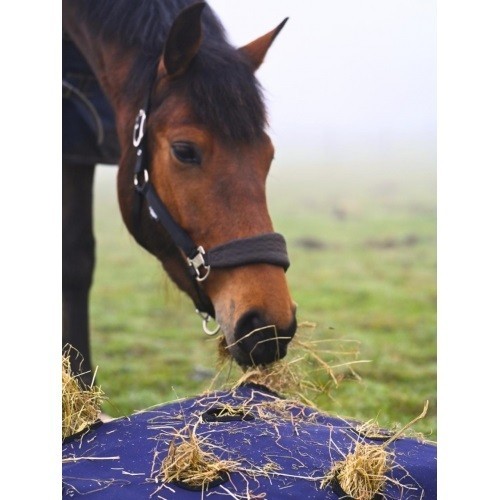 Horse hay pillow - horse,