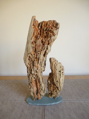 Driftwood sculpture 30cm high - 30cm,