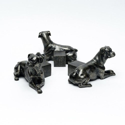Potty feet boxer - dog, trio