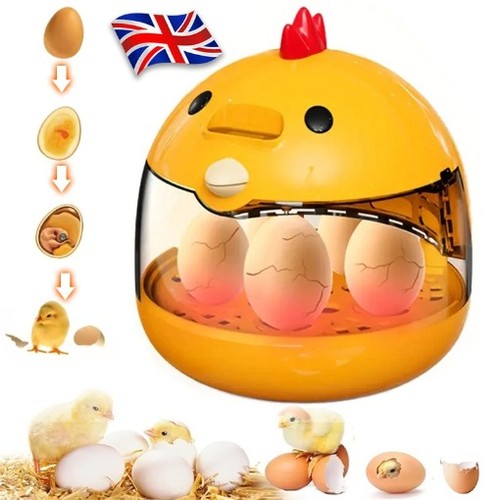 Egg incubator hatching machine - egg,