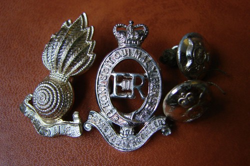 Royal horse artillery - horse, qc