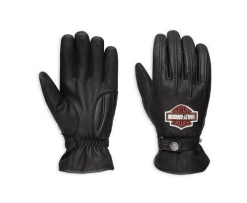 Harley davidson enthusiast - harley-davidson,