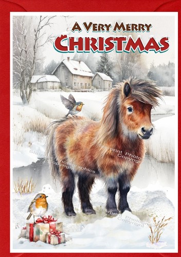 Shetland pony the - shetland, snow