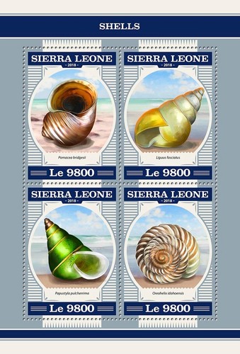 Shells mnh stamps - mnh, sierra
