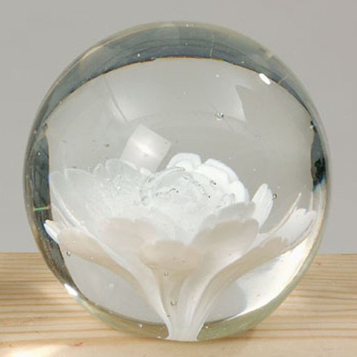 Glass paperweight white rose - glass,