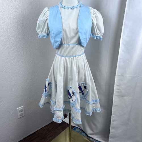 Vintage square dance dress - square,