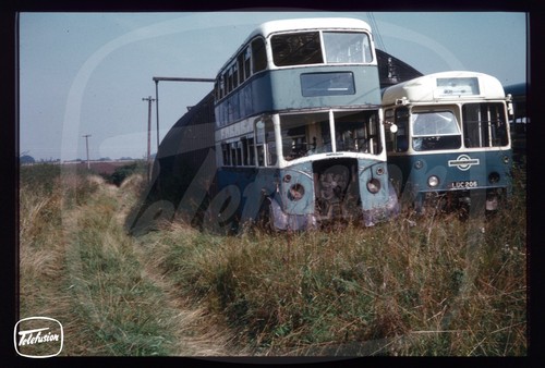 Original bus slide premier - original,