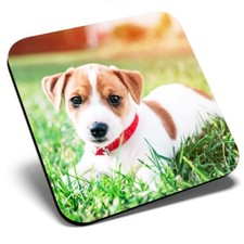 Square Single Coaster - Jack Russell Terrier Puppy Dog  #15879