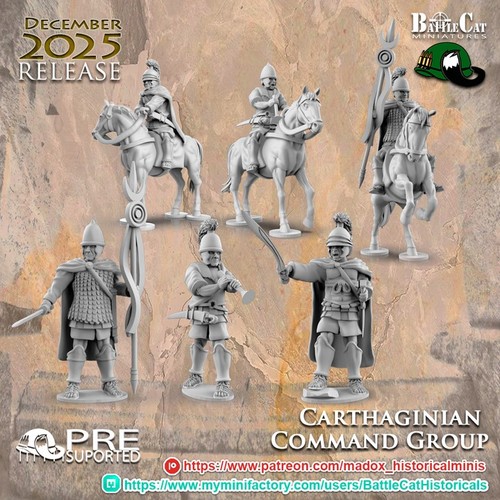 28mm carthaginian command - 28mm,