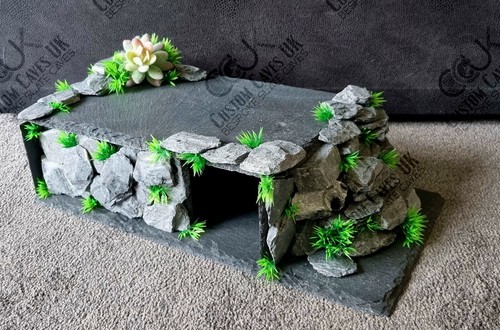 Leopard gecko slate hide - leopard,