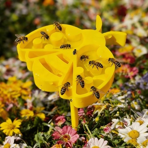 Bee water feeder dispenser - bee,