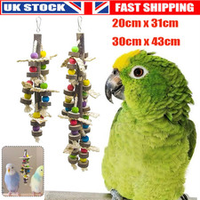 Pet Giant Macaw Parrot Swing