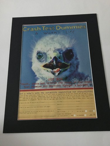 Crash test dummies worms - crash,