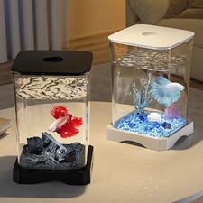 Acrylic Desktop Fish Tank