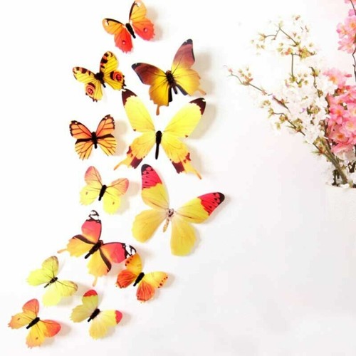 Butterfly wall - x, 3d