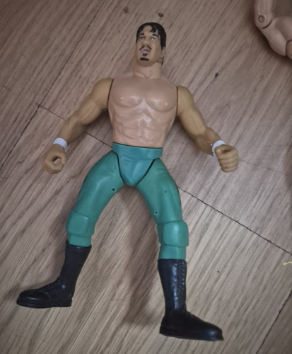 Wrestling action figure - action,