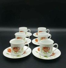 Ancap Sona Verona Italy