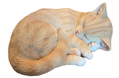 Sleeping ginger cat vivid - by,