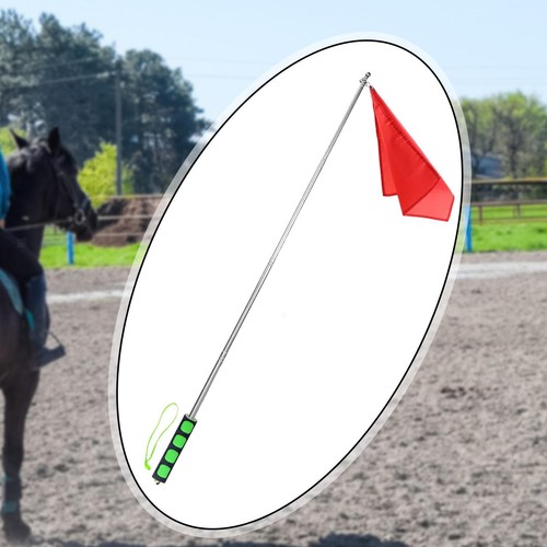 Horse training flag - flag, lunging