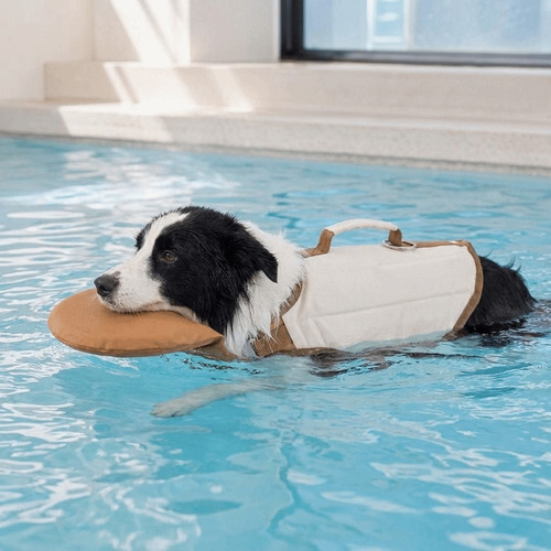 Adjustable pet swimming suit - adjustable,