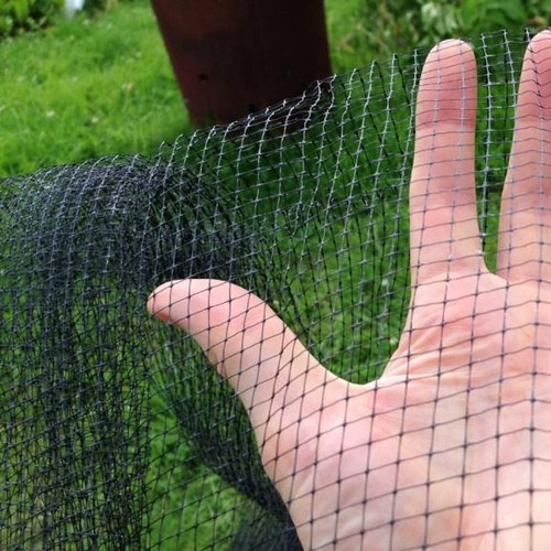 Pond butterfly netting - pond,