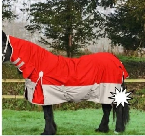 Fixed neck 50g horse rug - fixed,