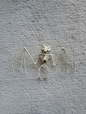 Animal Skeleton Decorations Rat Bat Realistic Bones Scary Halloween Party Props