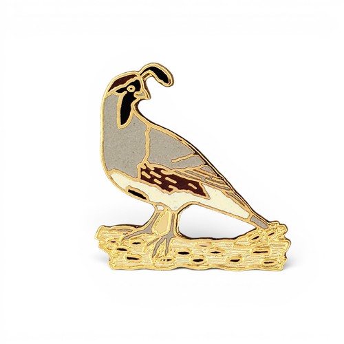 Gambel quail lapel pin - quail,