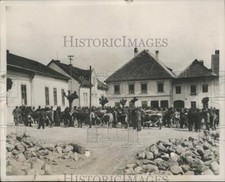 1938 Press Photo The Cattle