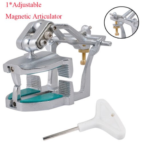 Dentist adjustable dental lab - dentist,