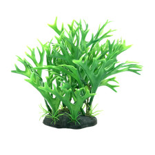 Lifelike Antlers Coral Grass