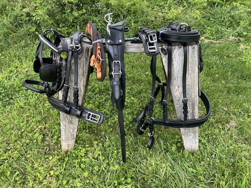 Medium large pony - medium/large, black