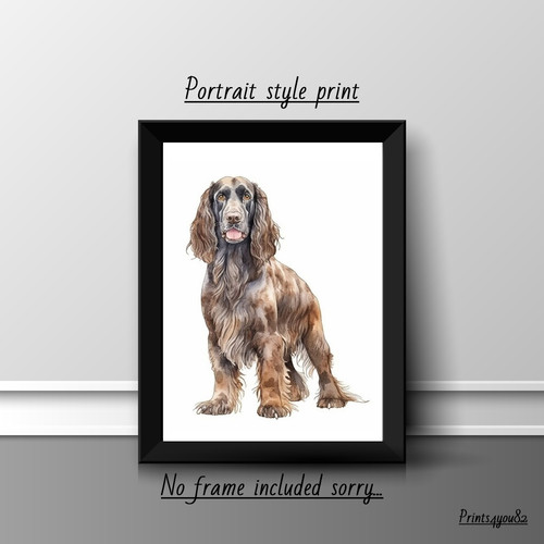 Field spaniel dog pet - field,