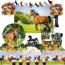 Horse Pony Equestrian Birthday Party Tableware Set Decorations Banner Balloons