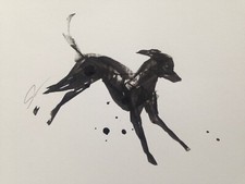 Original signed Ink sketch of a Whippet Greyhound Lurcher A4