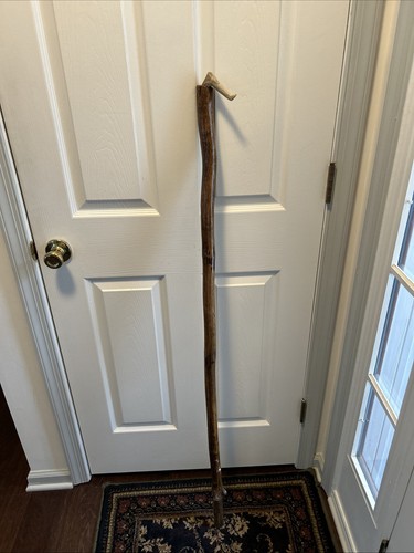 Homemade walking stick very - stick,