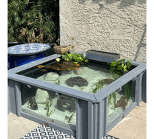 Lotus clear view garden - clear,