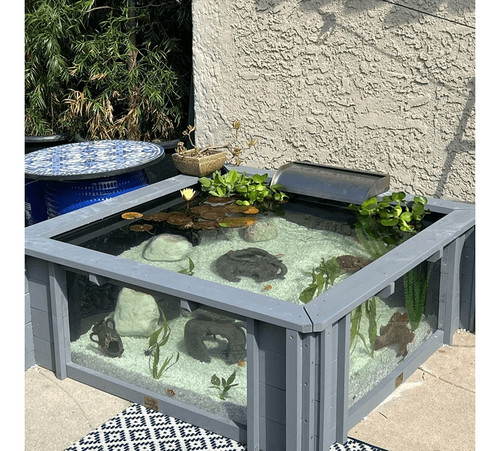 Lotus clear view garden - lotus,