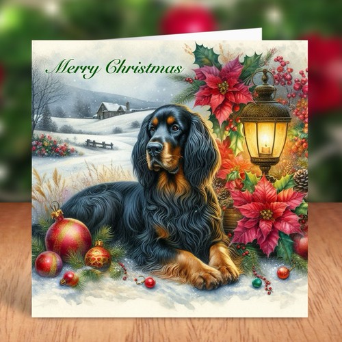 Gordon setter dog - setter,