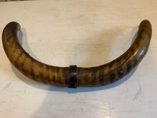 Steer, Cow, Bull Horns Old