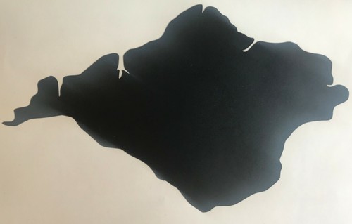 Vinyl isle wight silhouette - vinyl,