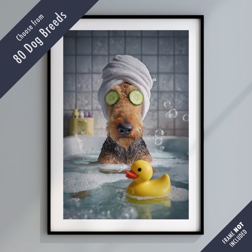 Funny dog bath - bath, –